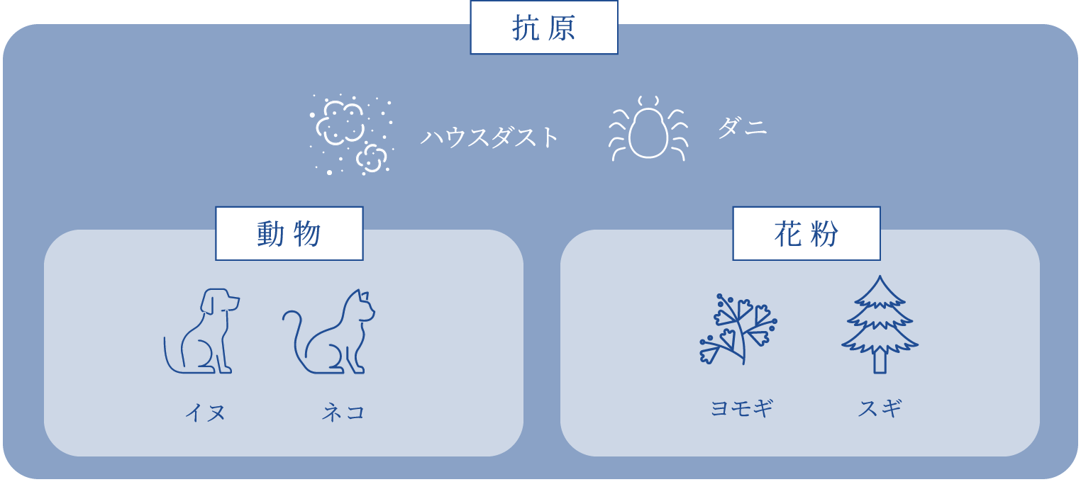 鼻アレルギーの原因