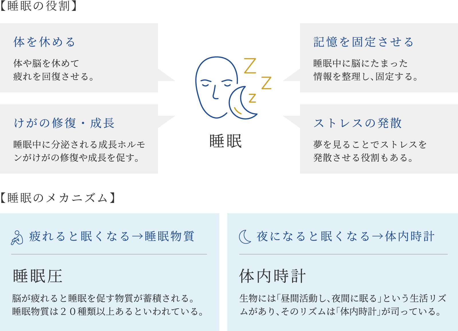 睡眠の役割とメカニズムの図