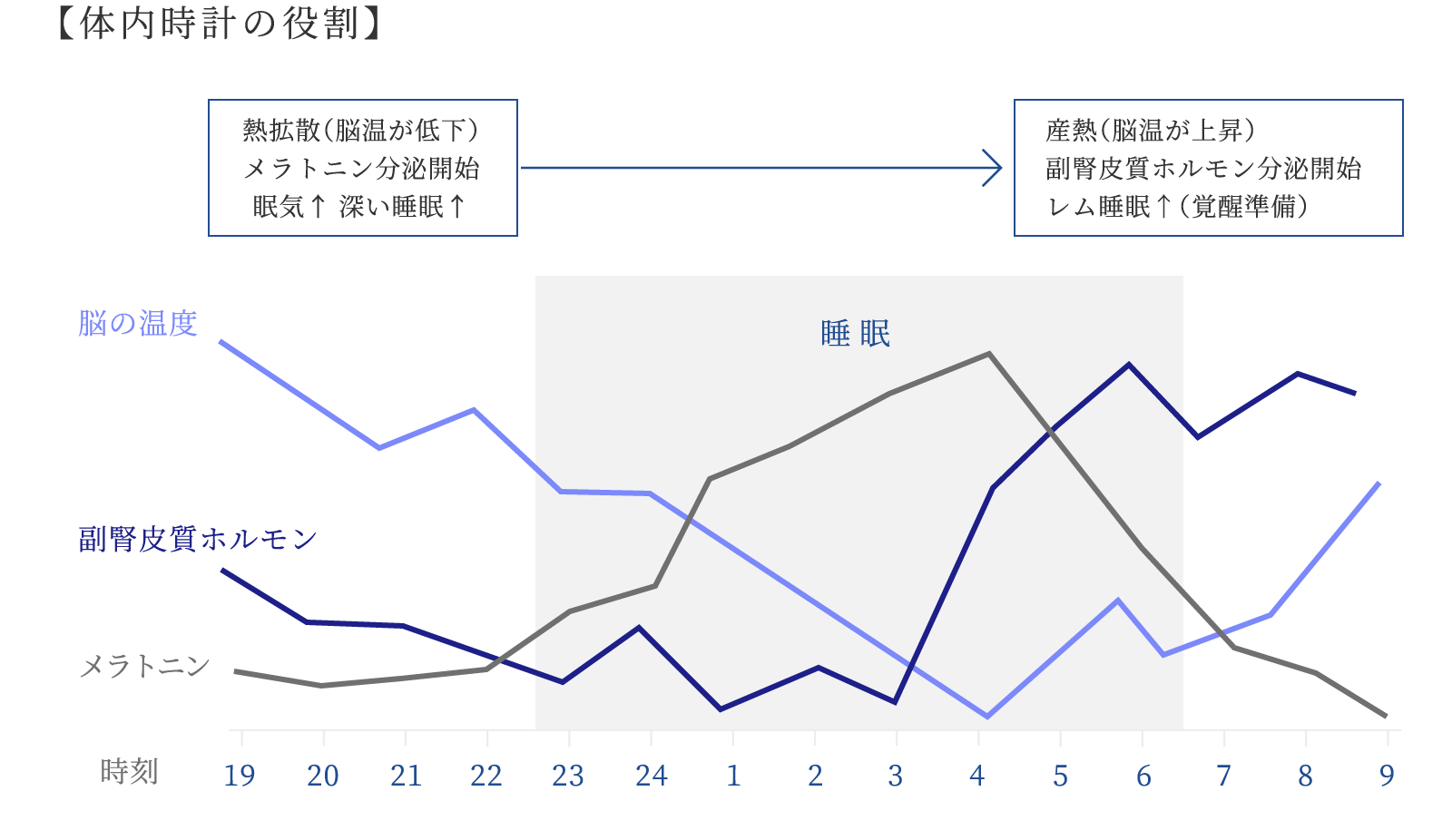 体内時計の役割の図